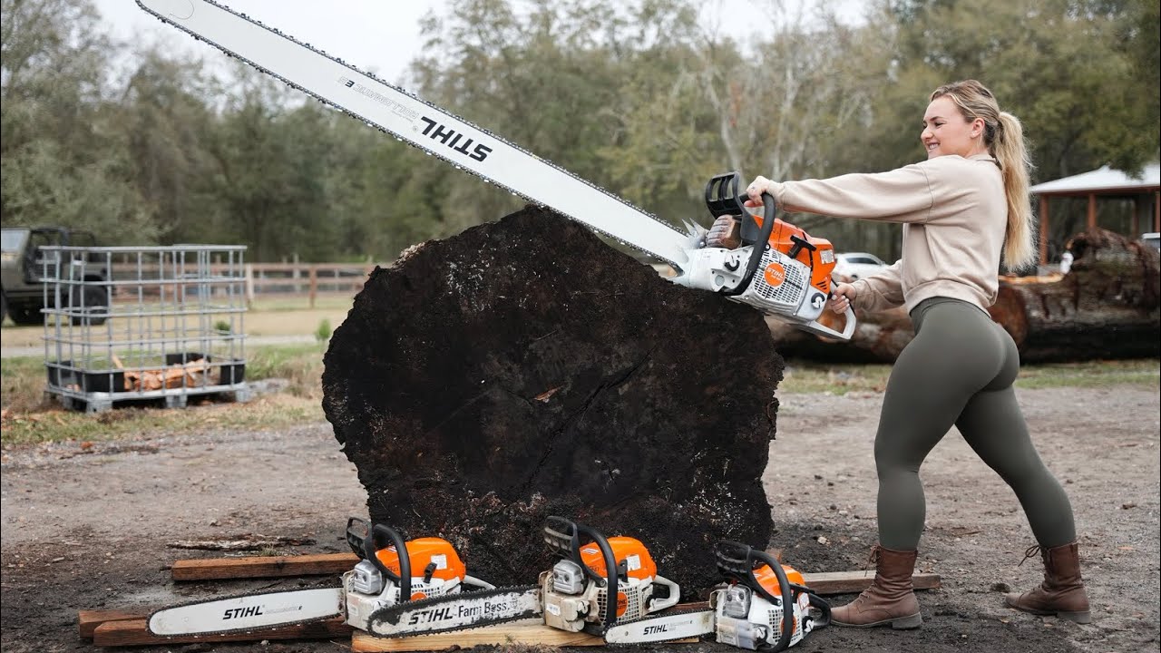 Retiring the other leg of the chainsaw chaps with Stihl MS 362 